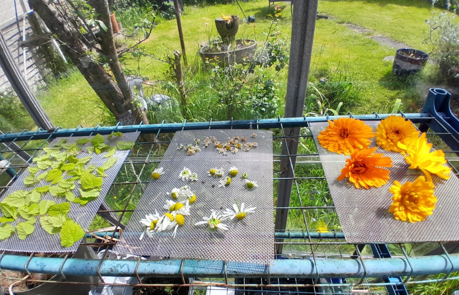 Any Witches here? Part 20