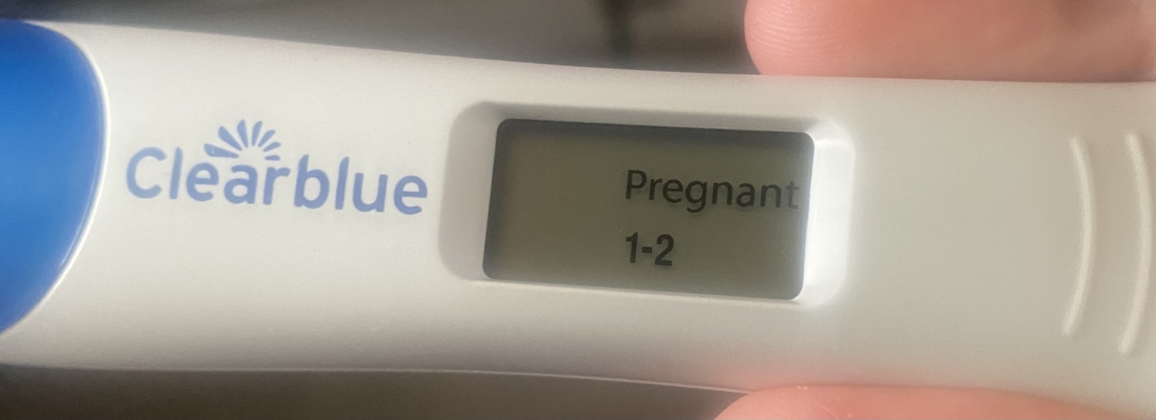 TTC February 2024 ✨