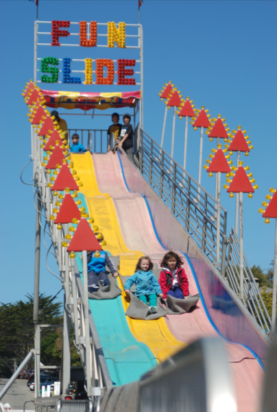 Day 1 or 1000 all welcome on the tulips and snowdrops thread 🌷