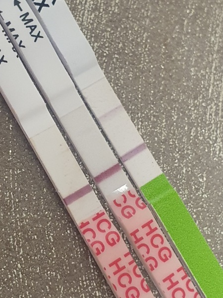 TTC June 2024 ✨♥️