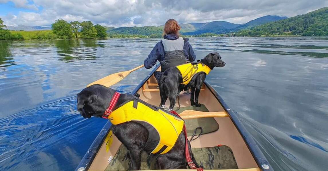 Puppy Survival Thread for New and Old Pups - Spring is around the corner!