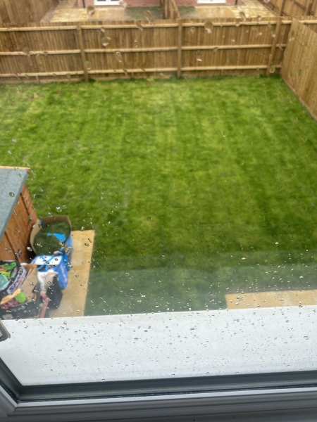 What can I do with my garden?