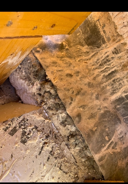 Leaking roof and builder not interested