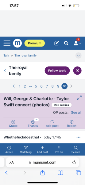 Will, George & Charlotte - Taylor Swift concert (photos)