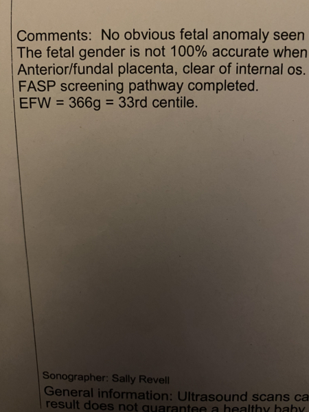 September 2024 - Thread 7! 🐣🧡💛❤️