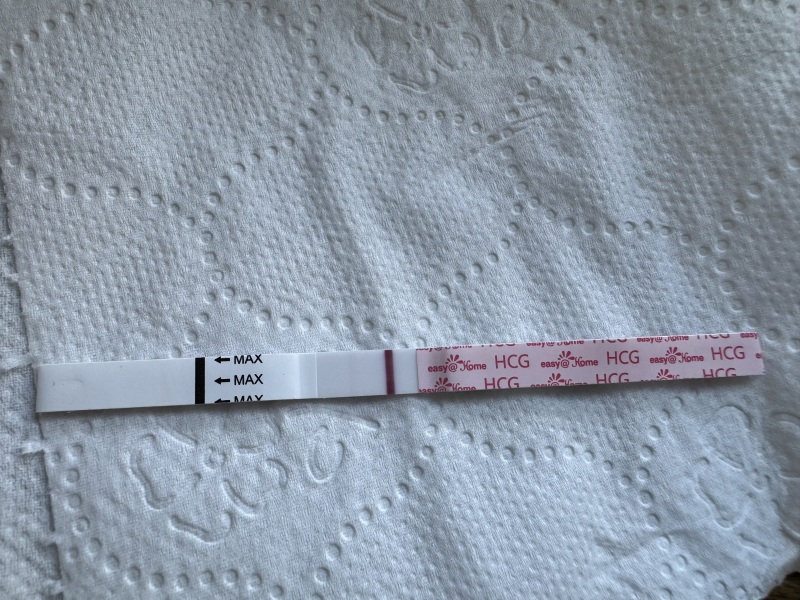 Pregnancy after loss part 2