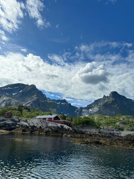 The Great Recovery part 2 - After Cancer treatment what next?