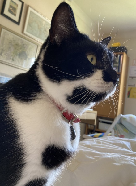 Thread 13 - TalkLair: “I say we take off and nuke the entire site from orbit. It's the only way to be sure.”