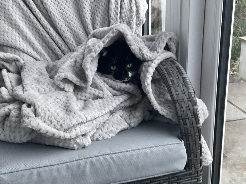 What do you have on the walls in the bedroom?