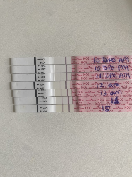 BFP after recent loss