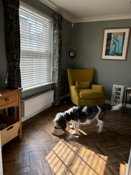 Massive mistake re window blinds