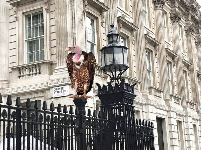 Thread 52 Sunak: The Final Countdown