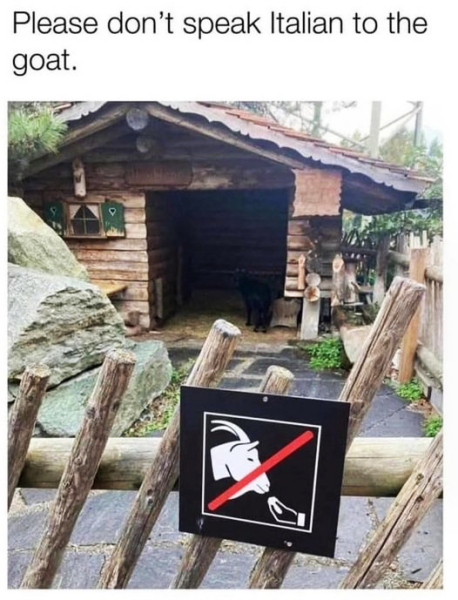 Aston University + gerbil merch thread