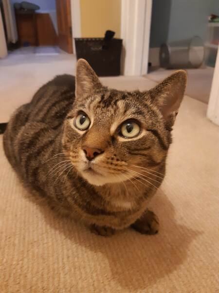 Thread 49 Sunak: He Left them on the beaches