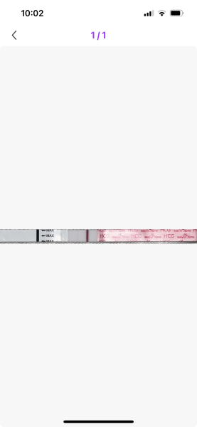 10dpo evap or faint line?