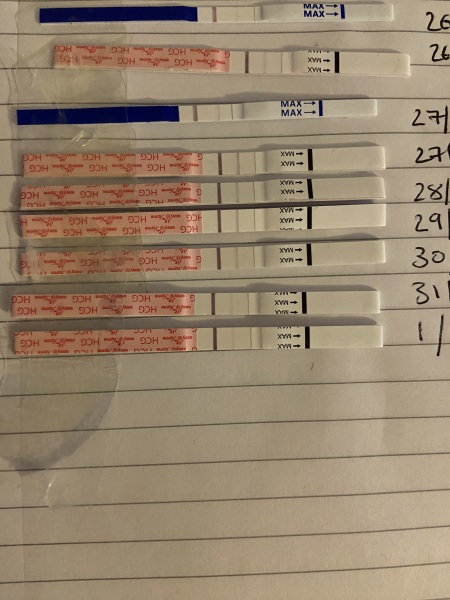 IVF/ICSI May or late April (Part 2)