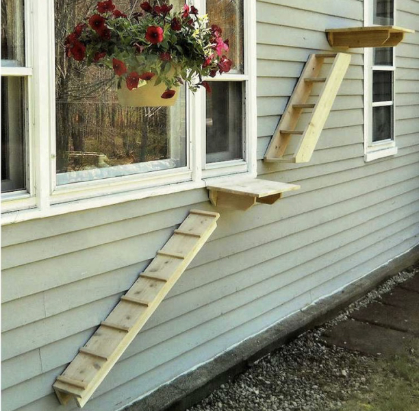 The One where TC moved to Scotland and joined the Excellent Cats