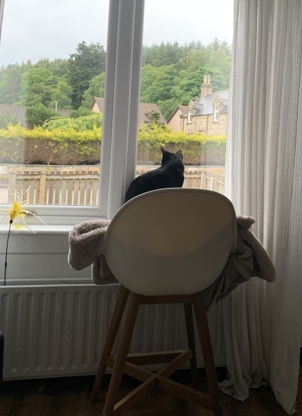 Thread 52 Sunak: The Final Countdown