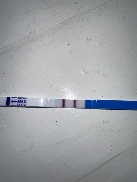test progression