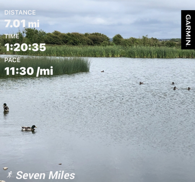Training for a half marathon-anyone else?