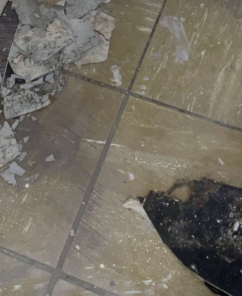 Do these look like asbestos?