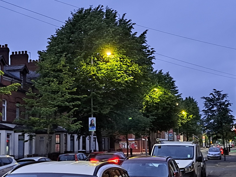 Thread 51 Sunak: A William Hill to die on