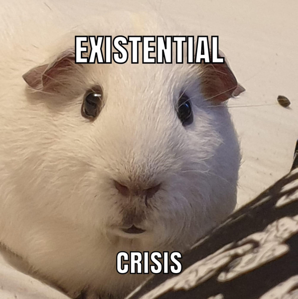 Spring has sprung...let's Countdown to Christmas 2024 (Thread 2)