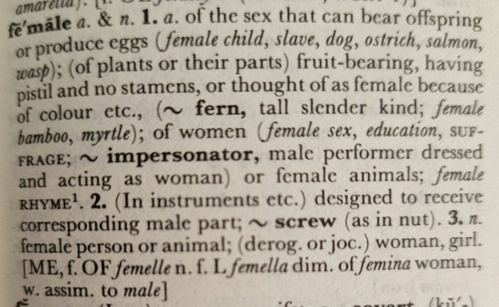Reflecting on the recent changes in language
