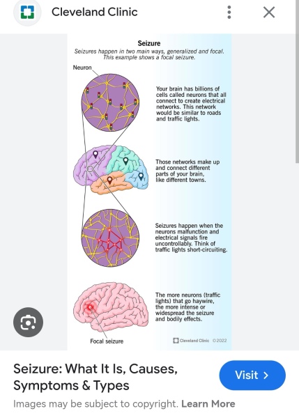 The driver in the Wimbledon school accident won't be charged?