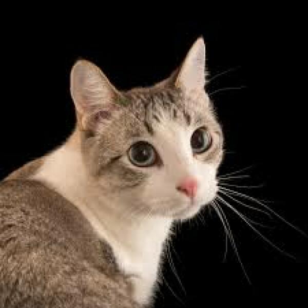 The latest photo of the heir to the throne