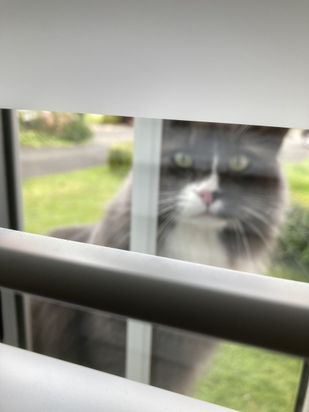 Thread 52 Sunak: The Final Countdown