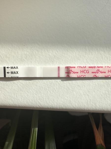 A line eye enthusiast #3