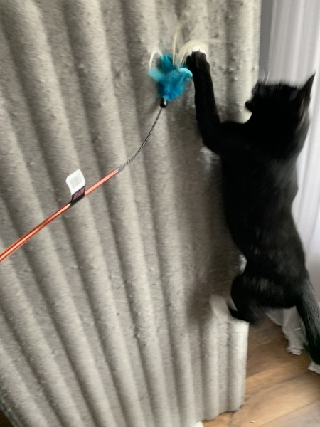 Thread 52 Sunak: The Final Countdown