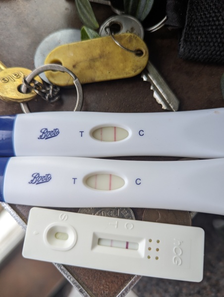 IVF/ICSI May or late April (Part 2)