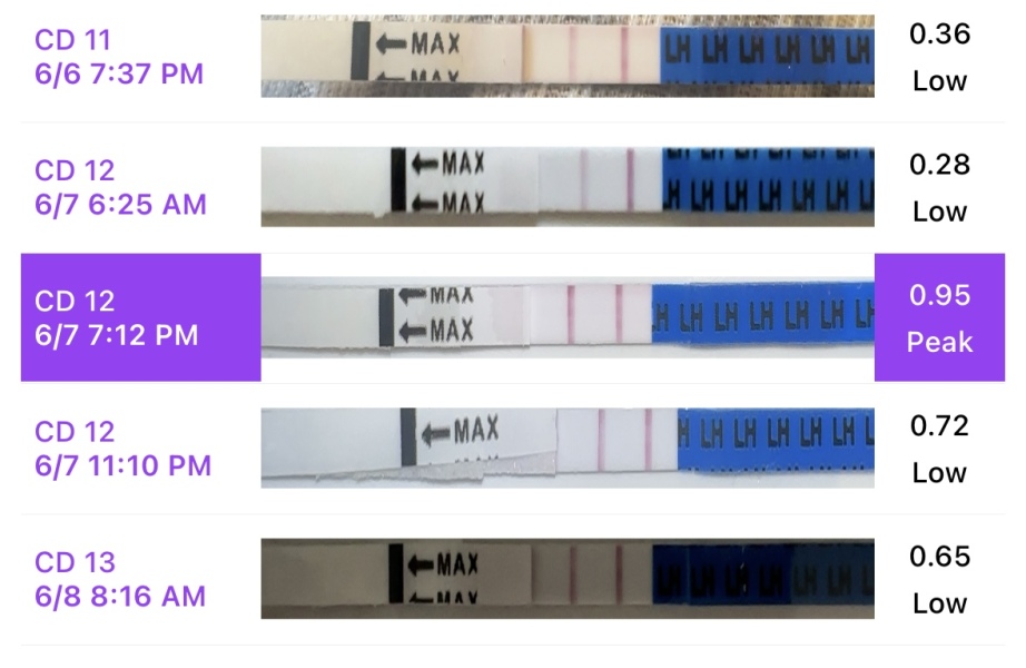 OPK - is my peak too low?