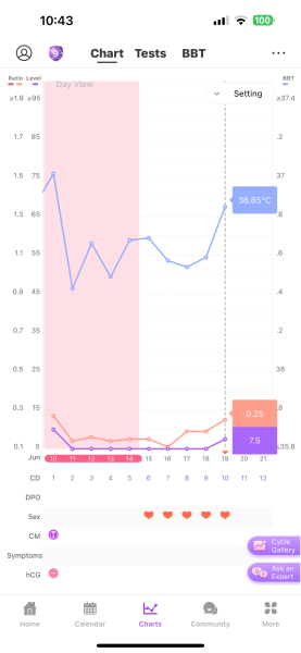 TTC after chemical pregnancy