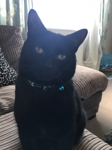 My beautiful boy has gone, I'm not coping