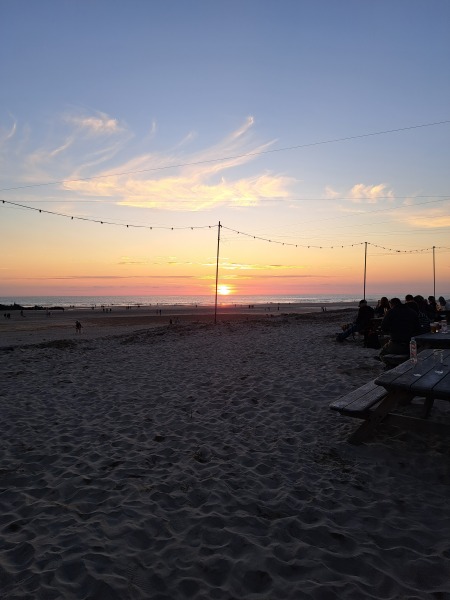 Thread 51 Sunak: A William Hill to die on