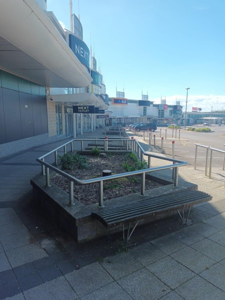 Fforestfach Swansea retail park trees chopped down