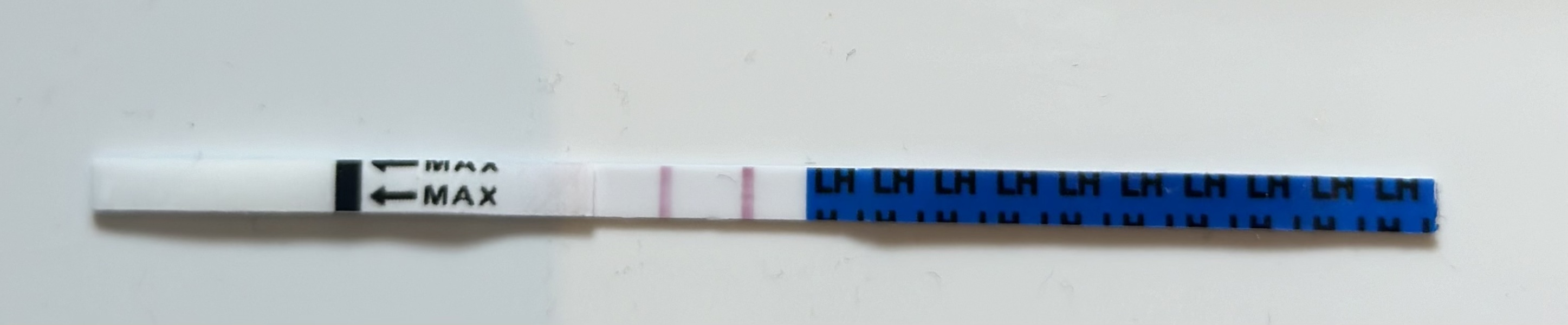 Is this positive OPK?