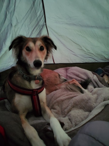 Camping