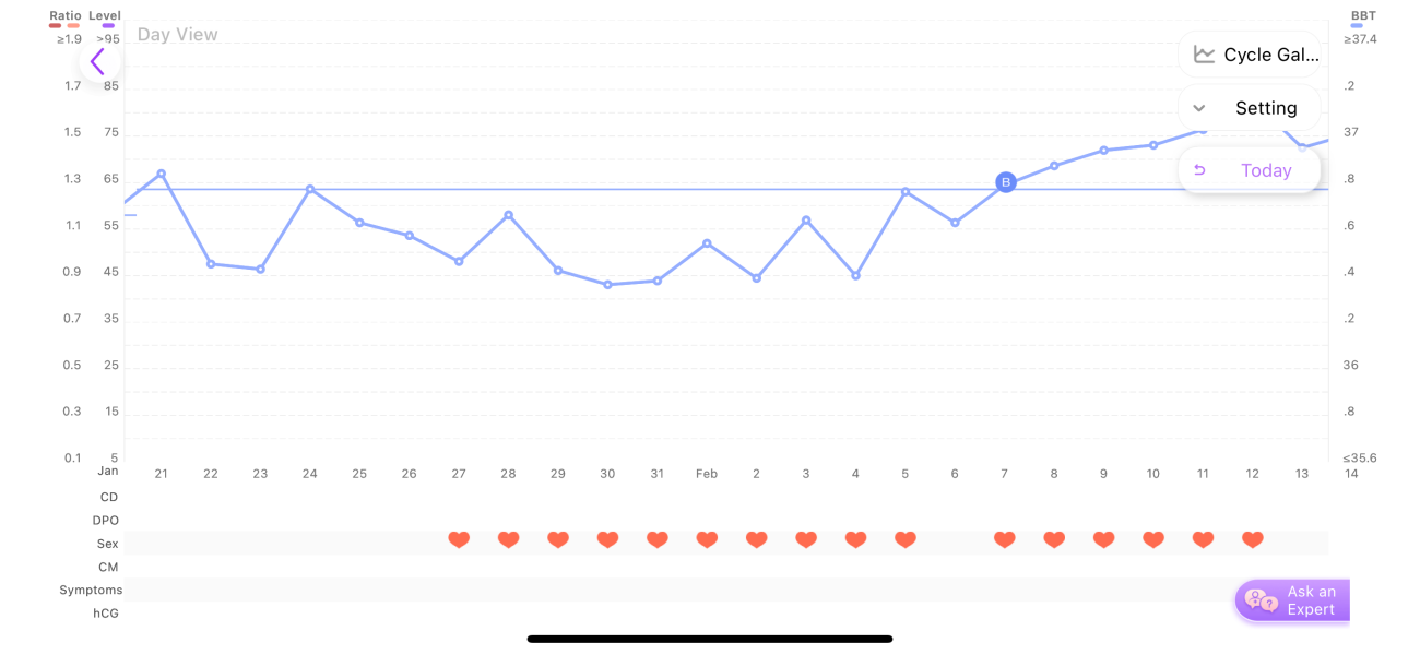 TTC after chemical pregnancy