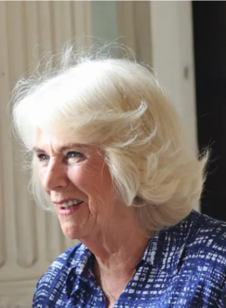 Camilla snubs Brigitte Macron at D-Day Anniversary, rejecting her gesture of warmth