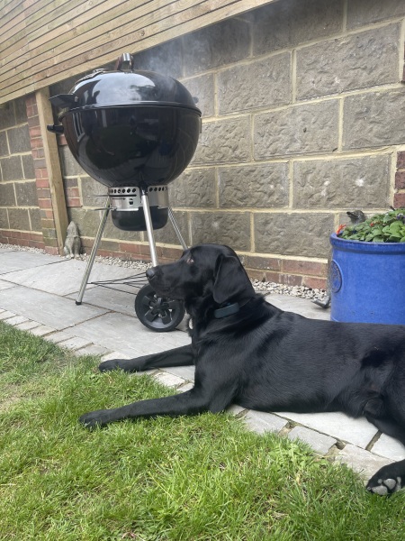 Share Your Dog Stories and Photos! 🐾 Chance to Win £100!