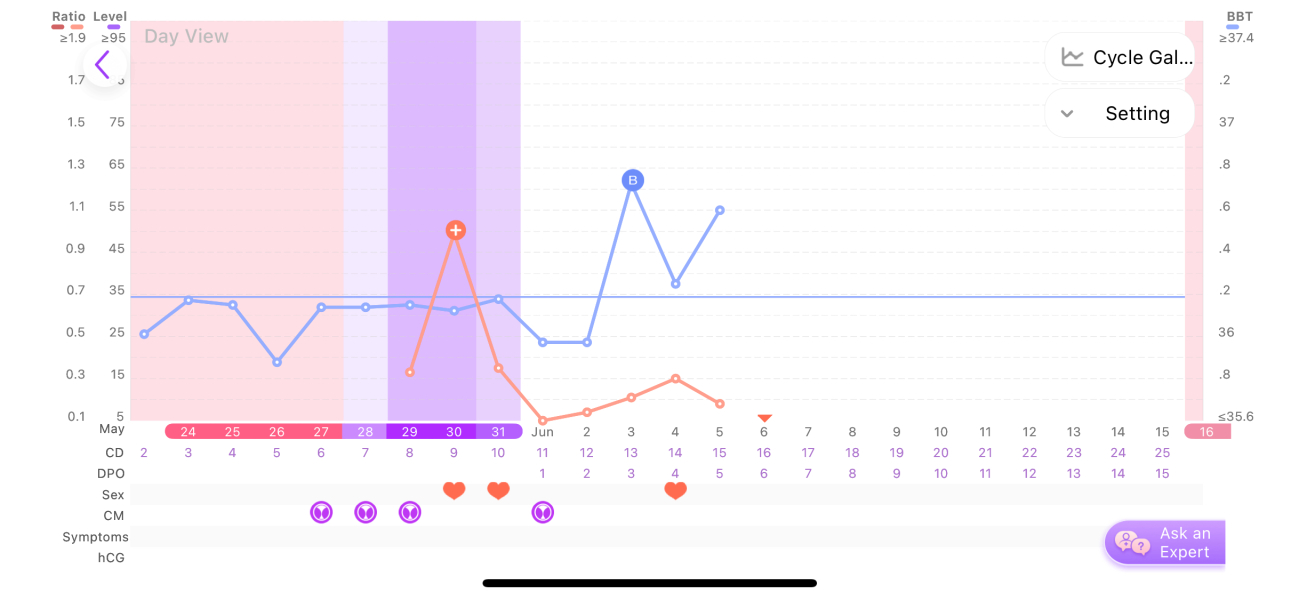 TTC February 2024 ✨