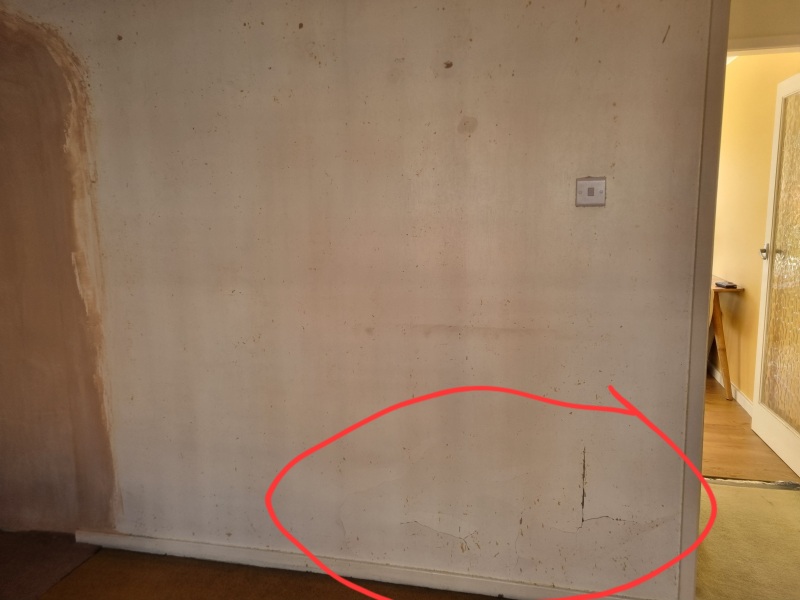 Damaged plasterboard help!