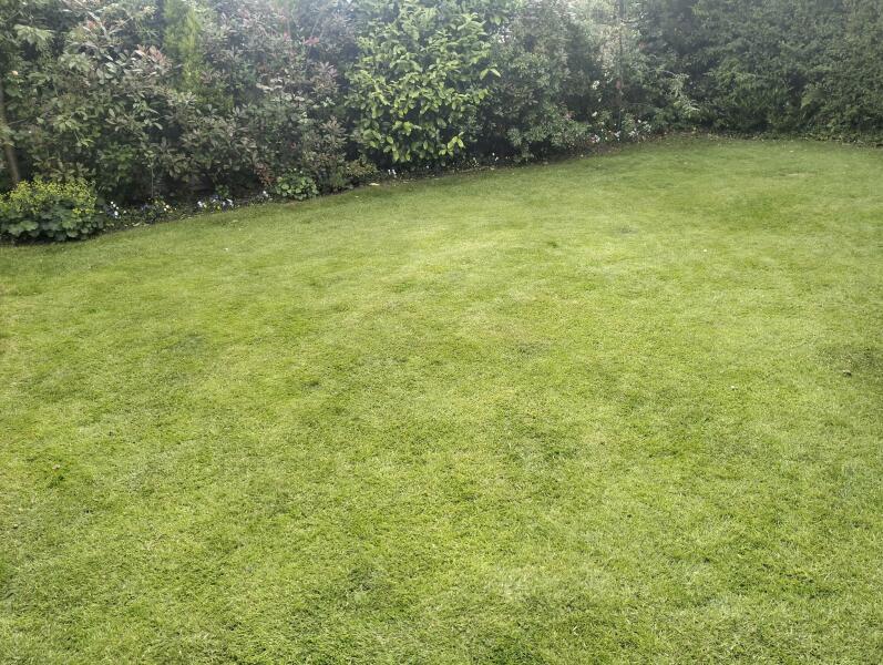 to splurge on a robot lawn mower