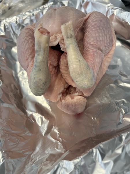 Has this chicken gone bad?