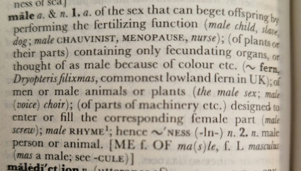 Reflecting on the recent changes in language