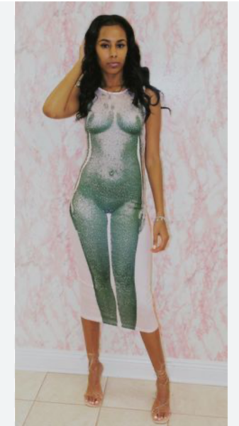 DH, Anita Rani and the see thru dress